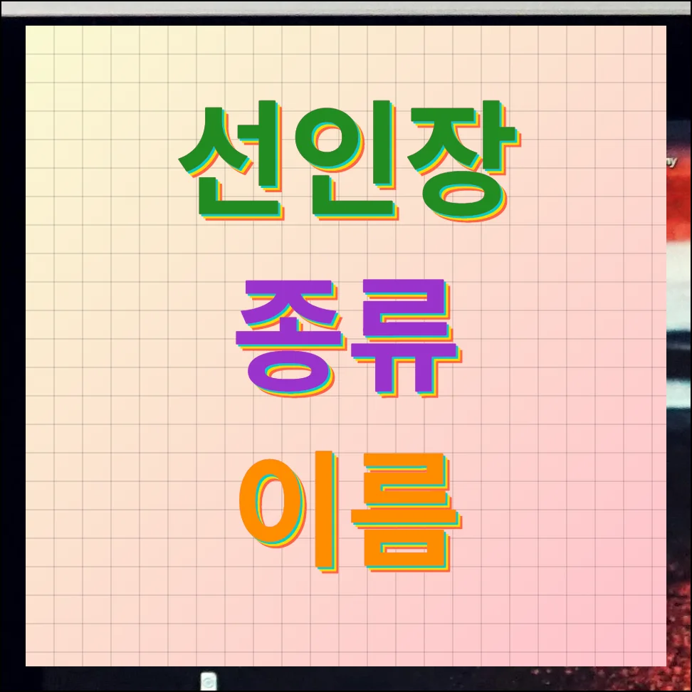 선인장 종류 이름 살펴보기