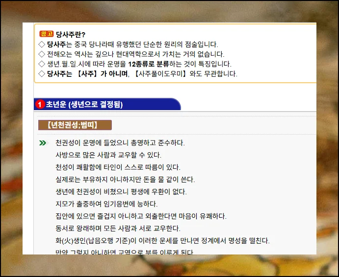 무료운세 2025년 서비스 총정리 (9)