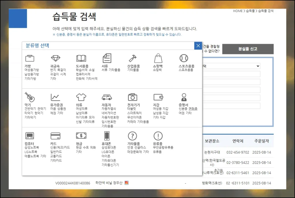 (3) 경찰청 유실물 통합포털 시스템 활용