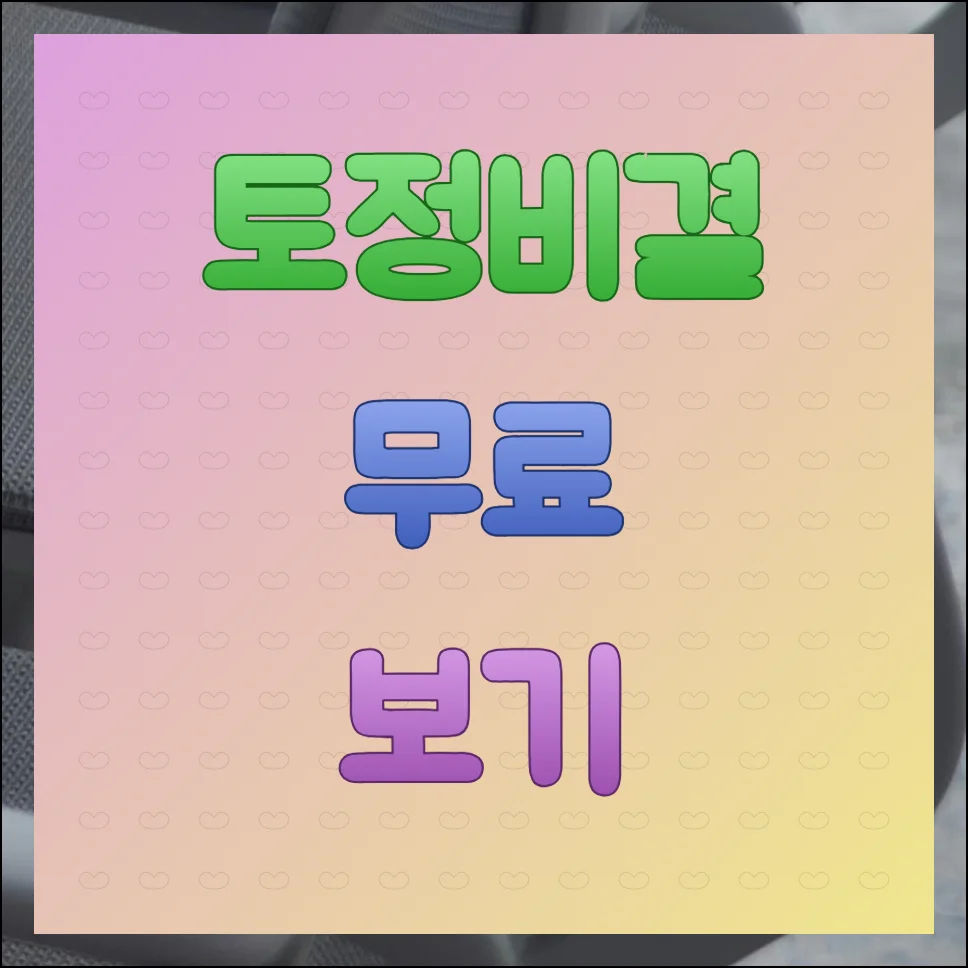 토정비결 무료보기 서비스로 나의 운수 알아보기