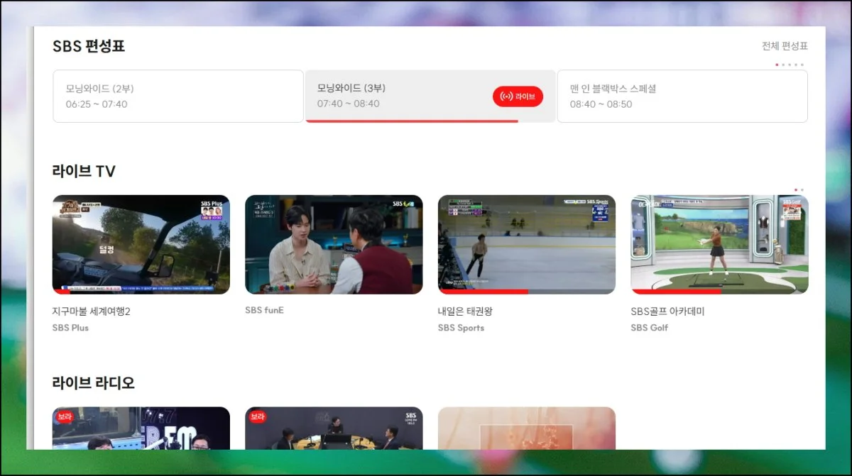 (4) 인기 프로그램 무제한 시청