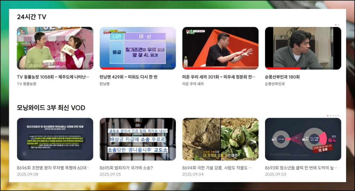 (4) 인기 프로그램 무제한 시청