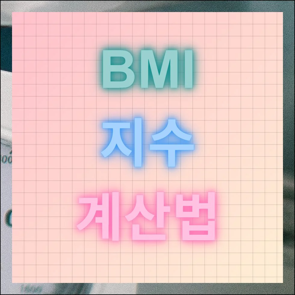 BMI지수 계산법 및 자동 계산기 활용