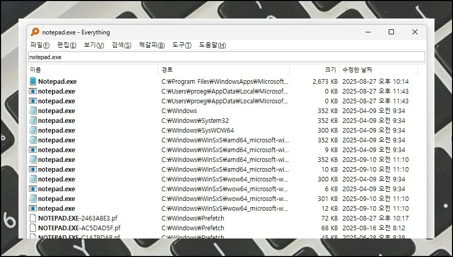 EVERYTHING 프로그램 다운로드 및 사용하는 방법 (12)