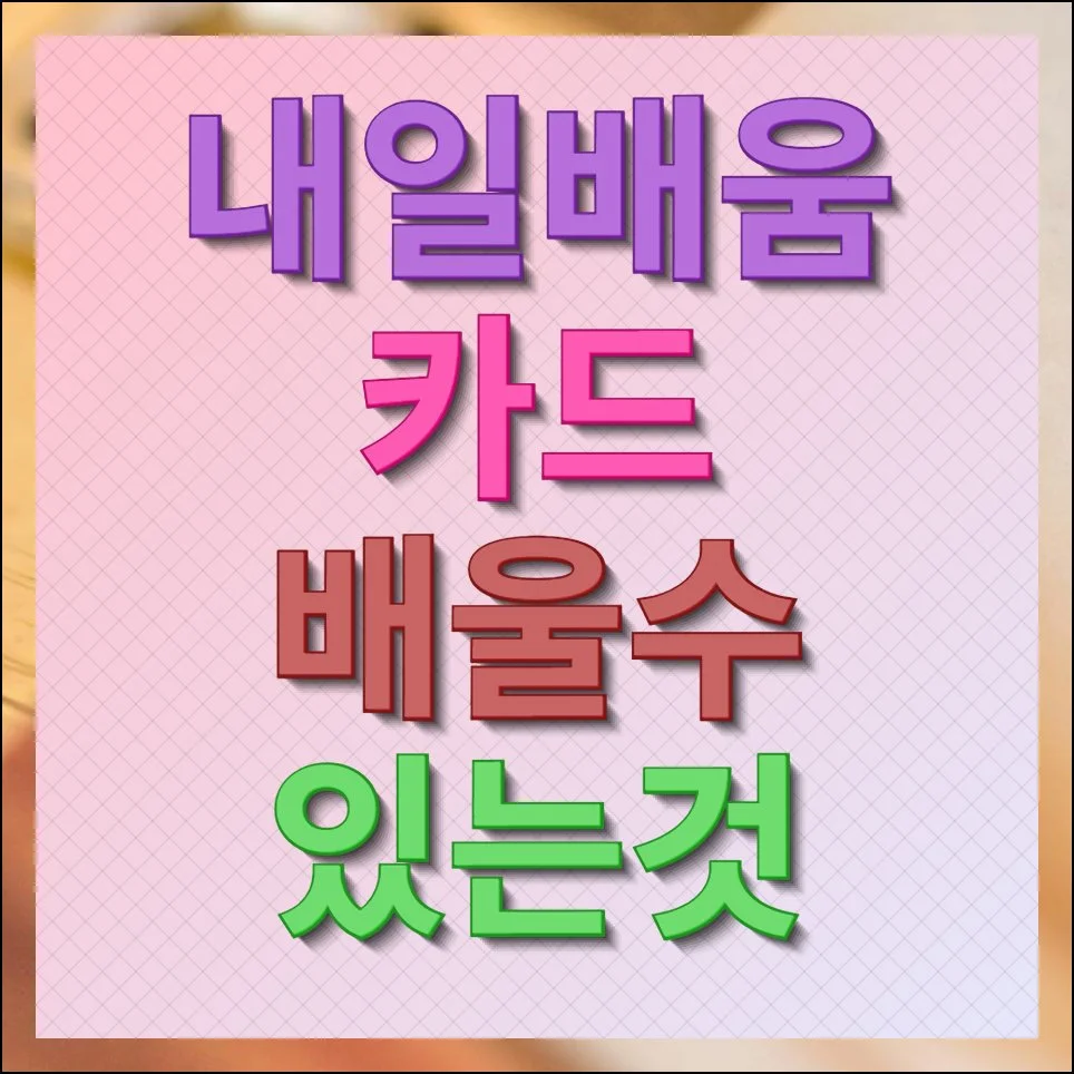 내일배움카드로 배울수 있는것 제대로 알아보기