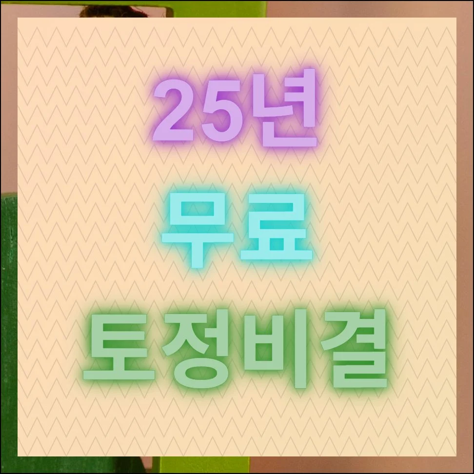 25년 무료 토정비결 보기, 2026년 미리보기 가능