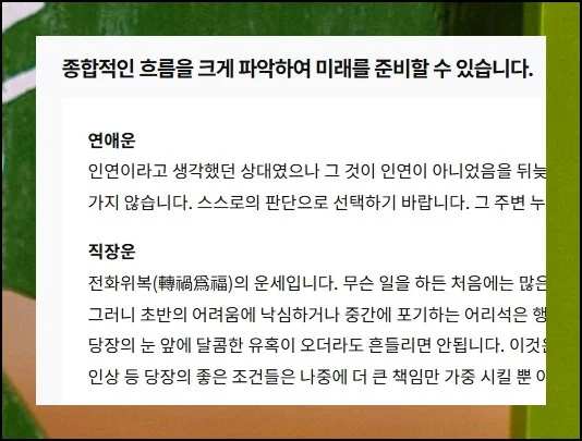 (7) 세부 분야별 운세 살피기