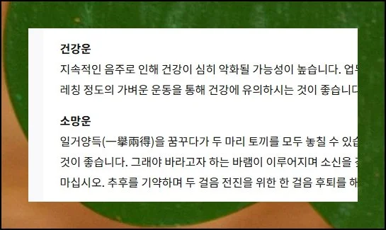 (7) 세부 분야별 운세 살피기