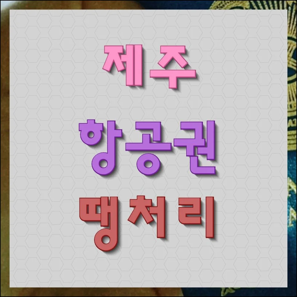 제주항공권 땡처리 좌석 구하는 방법