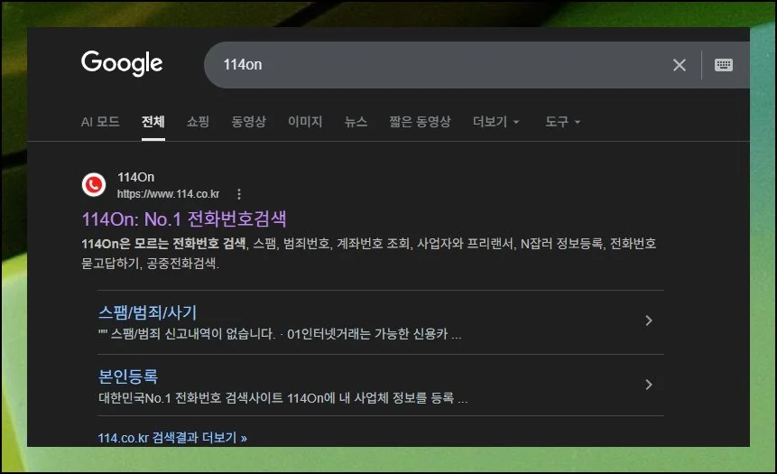 114on으로 빠르게 조회하기 | 114on은 이름 하나만 입력해도 상당히 유의미한 결과를 보여주는 플랫폼입니다.