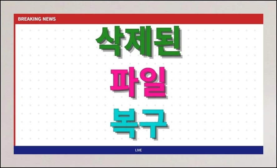 삭제된 파일 복구 무료 소프트웨어 | 컴퓨터를 쓰다 보면 꼭 필요한 자료를 실수로 날려버리는 경우가 생기곤 합니다.