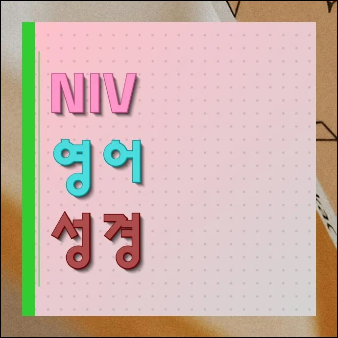 niv 영어 성경 무료보기 | 매일 조금씩 영어 문장을 읽는 습관을 들이고 싶은데 마땅한 콘텐츠를 못 찾겠다는 분들이 꽤 계세요.