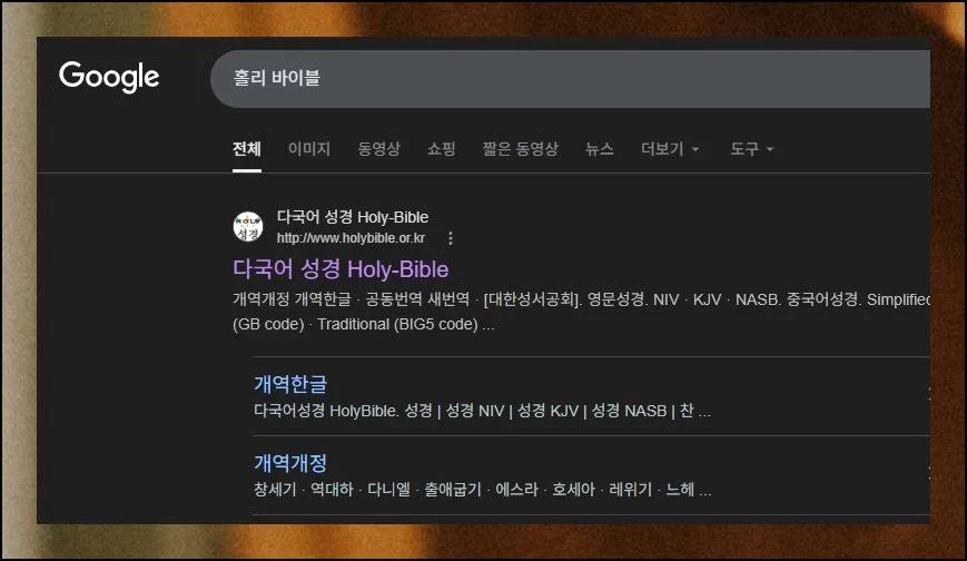 돈 들이지 않고 시작하는 법 | niv 영어 성경을 공짜로 접하고 싶은 분께 holy-bible 사이트를 권해드려요.